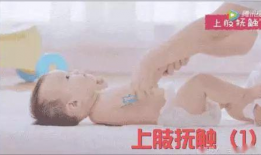 排气操视频教程,视频解析与实操步骤详解